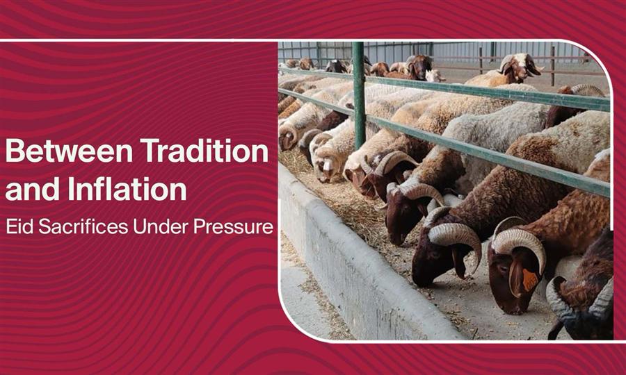 Between Tradition and Inflation: Eid Sacrifices Under Pressure